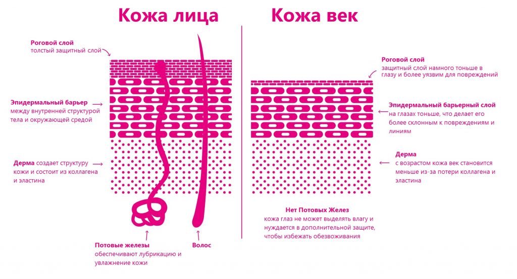 Разница между участками кожи