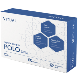 Vitual Polo 3 Plus