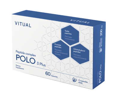 Vitual Polo 3 Plus